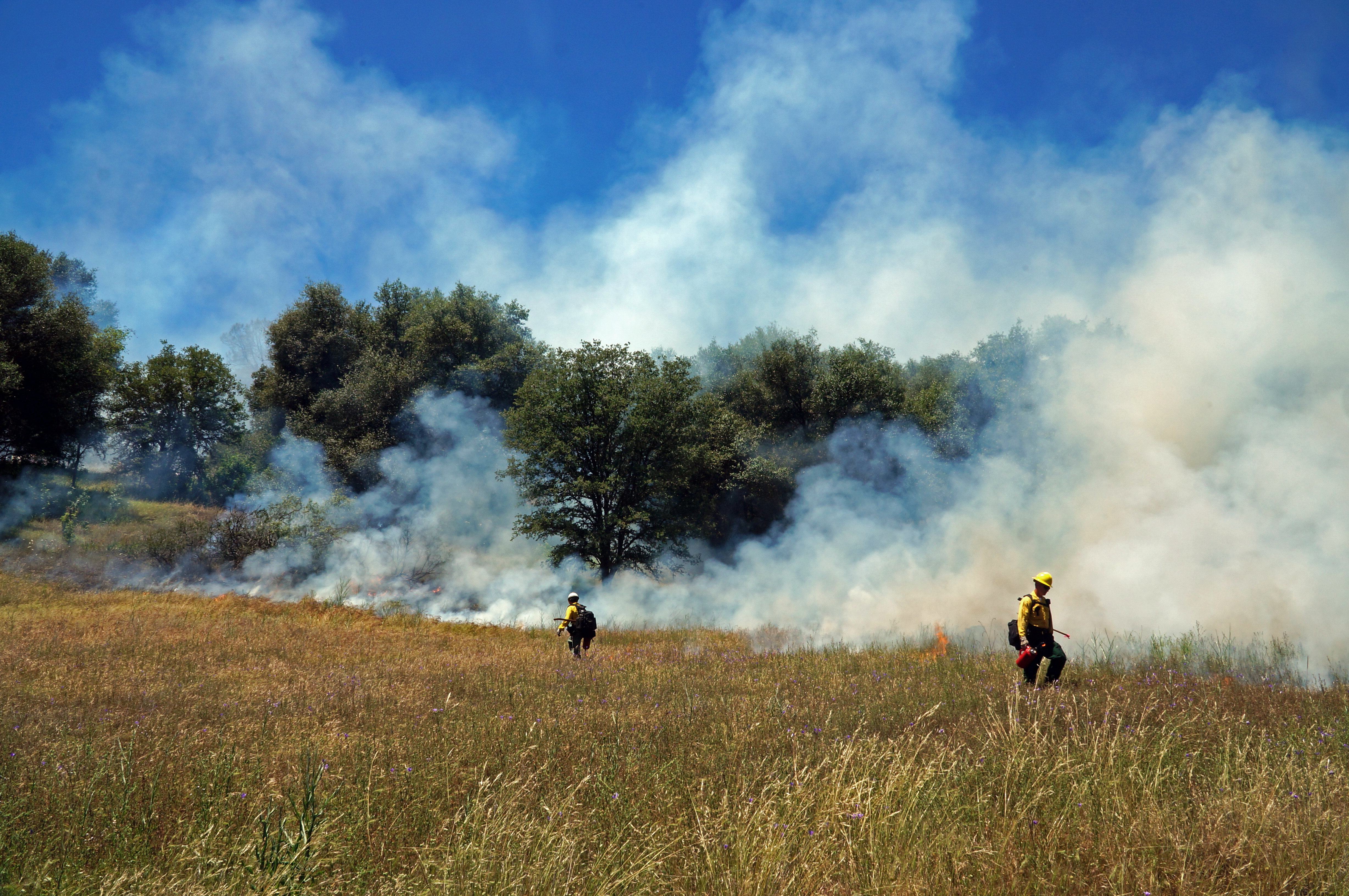 BLM and CAL FIRE crews conducting a prescribed burn at Cronan Ranch, California