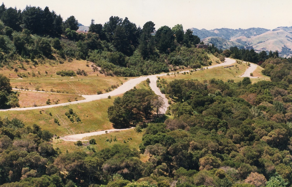 Narrow winding road through wooded Orinda hills — photo by Andwhatsnext, Wikimedia Commons, CC BY-SA 3.0