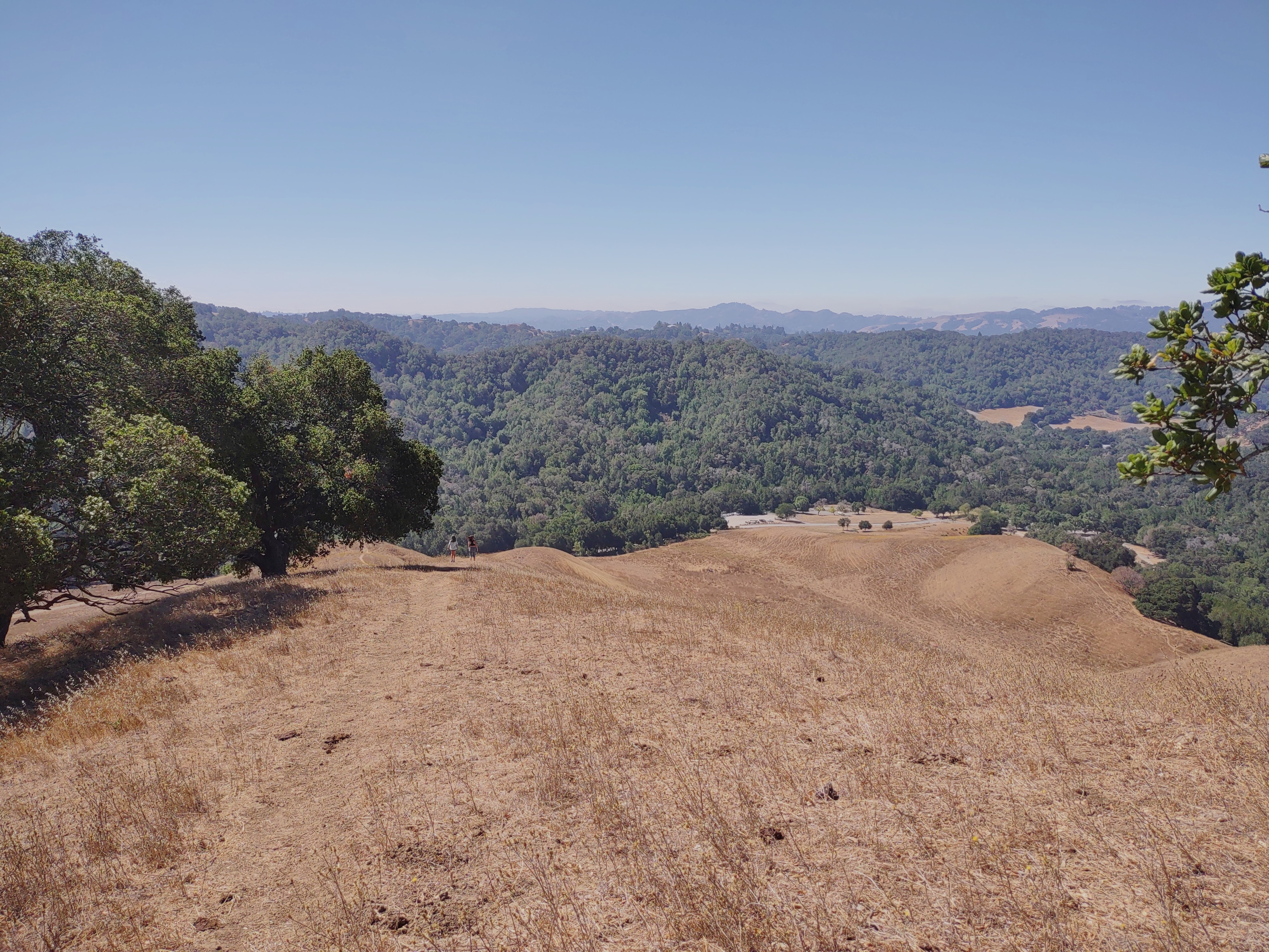 Dry golden hills at Briones Regional Park, Contra Costa County, late summer fire weather conditions